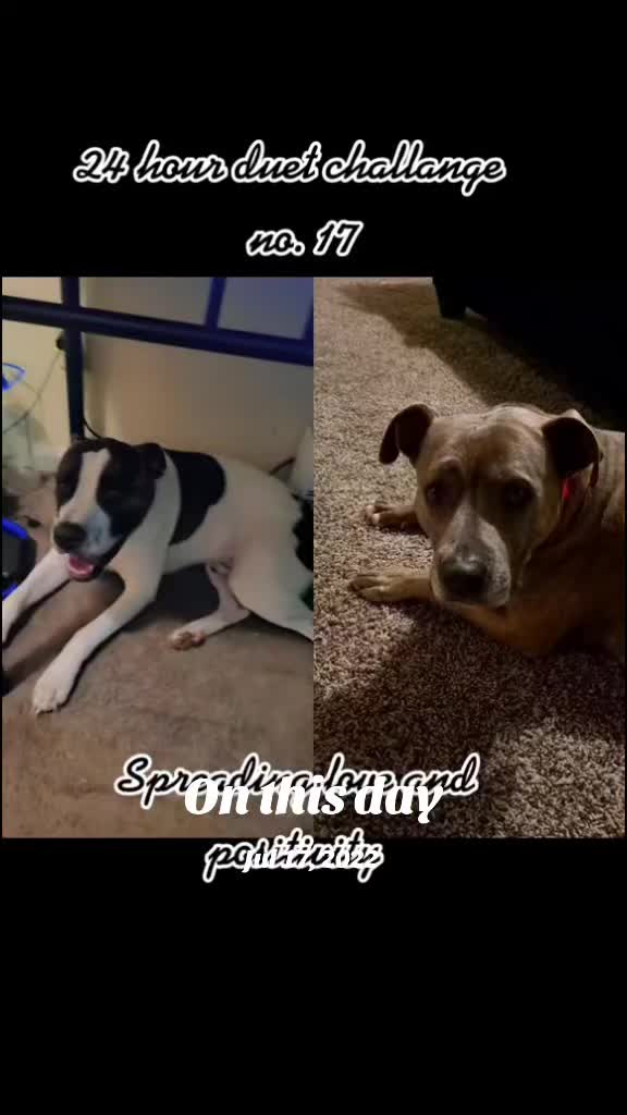 @Shrinkie_dink70