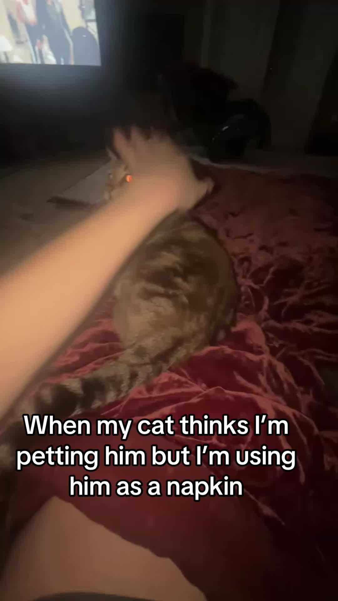 @Iheartgummiwormz