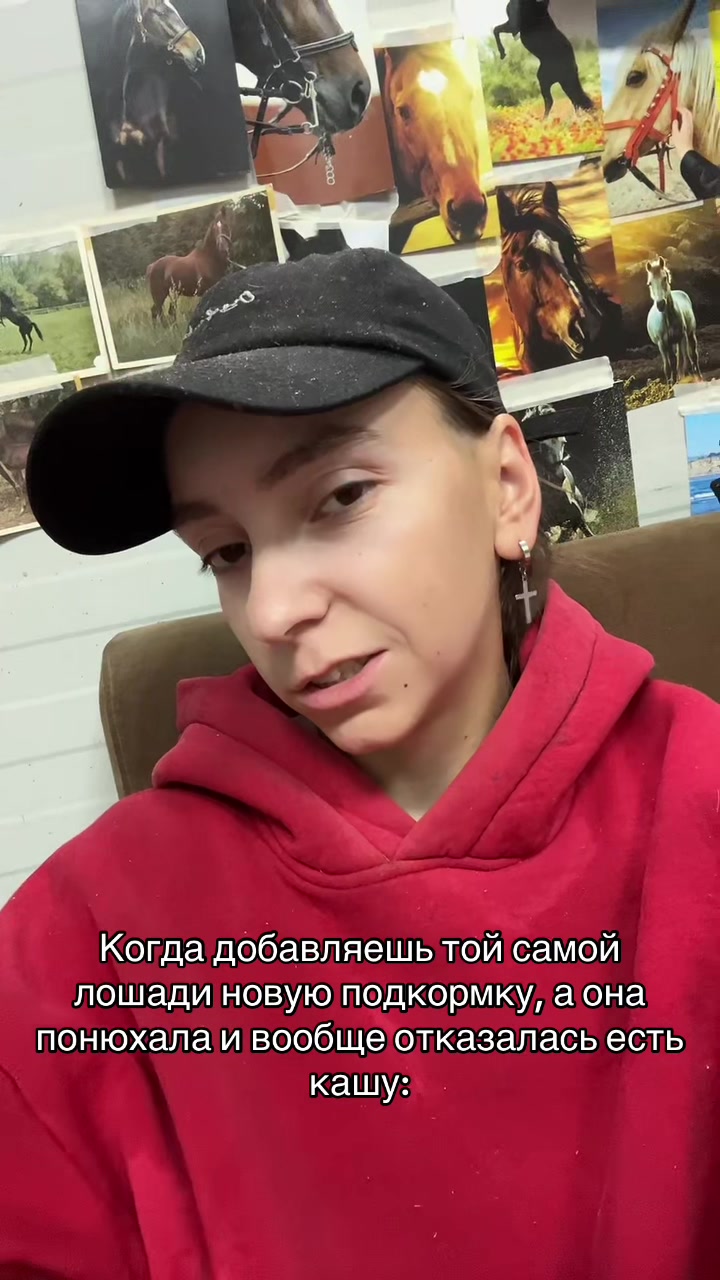 @ТГК: Sonya and the Trotters🐴