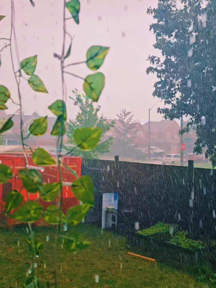 @I Love Nature
