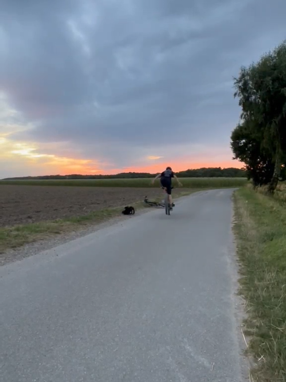 @teo_trail🤝🇩🇪🍋