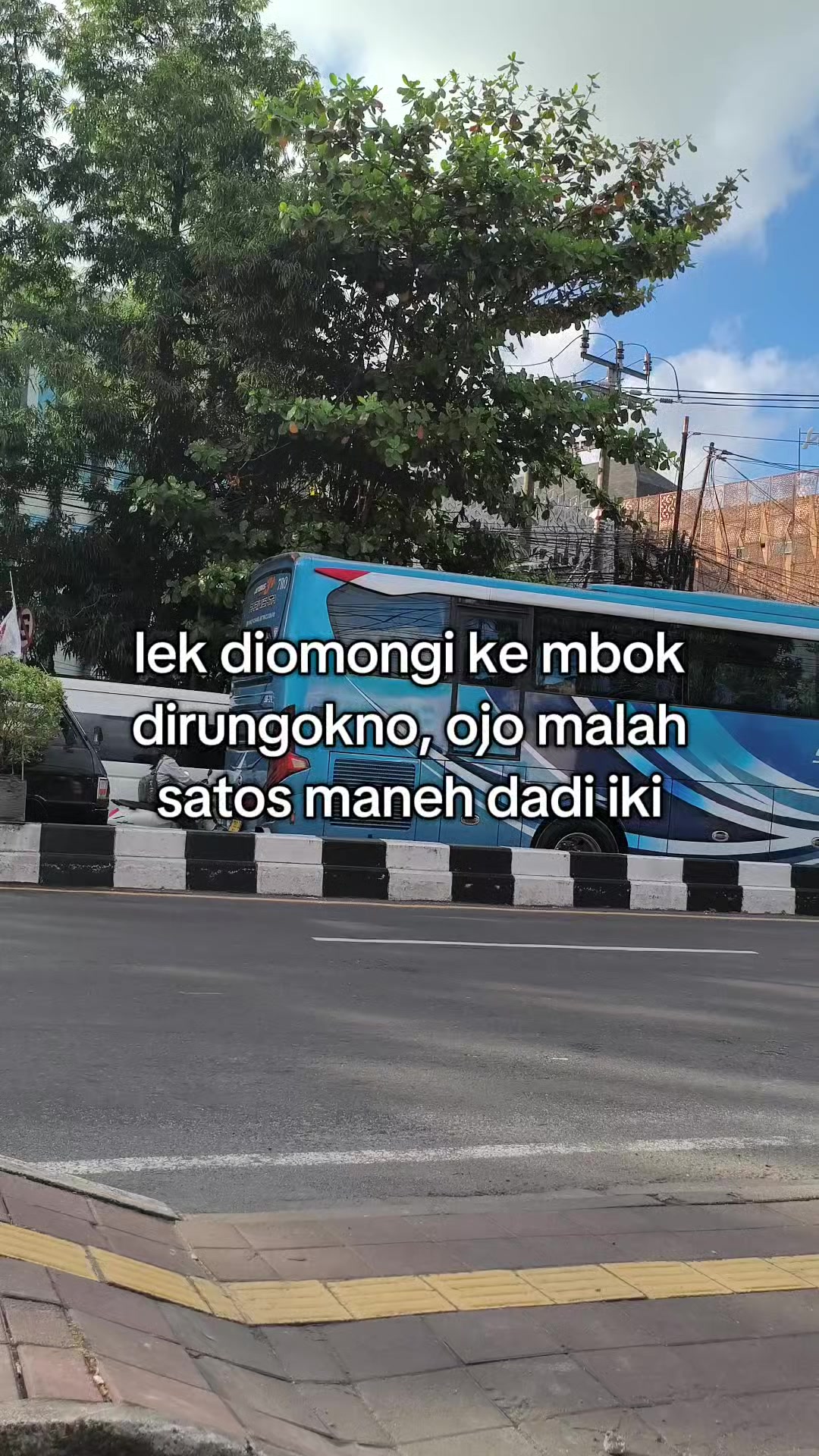 @aliell