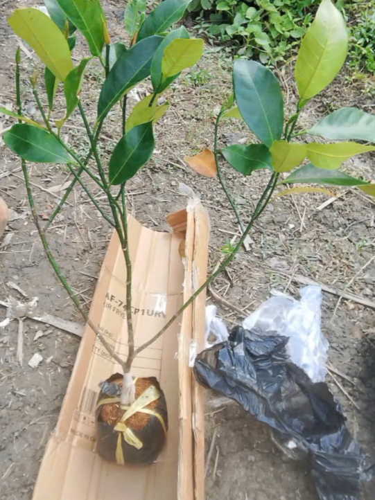 @Nguyễn Văn Hiền