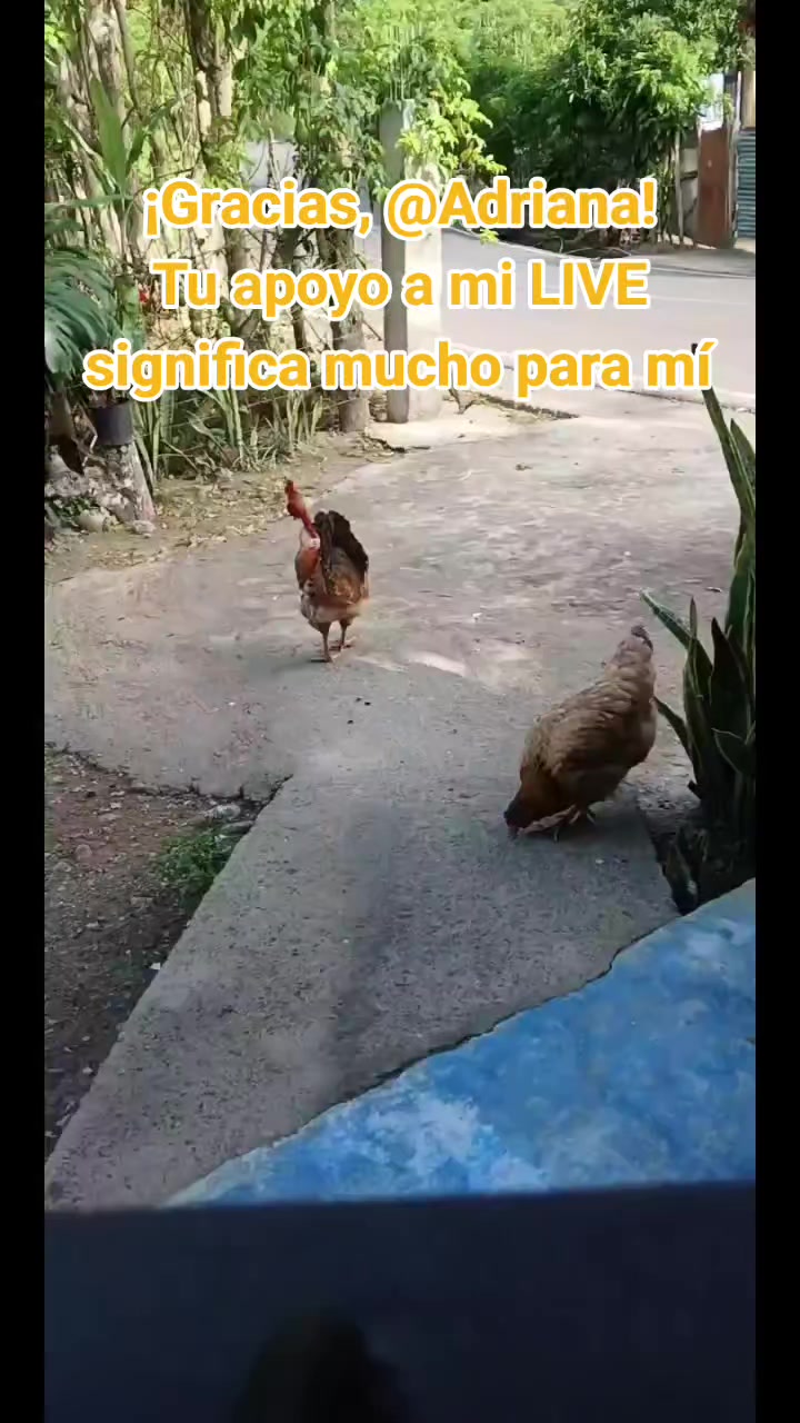@kenia_Tavarez