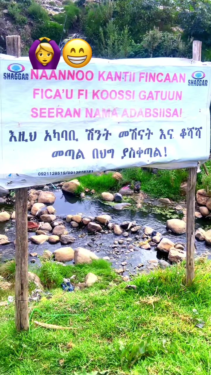@አዲስዋ ልቤ ልብ ውልቅ ሀበሻና ሹፎን