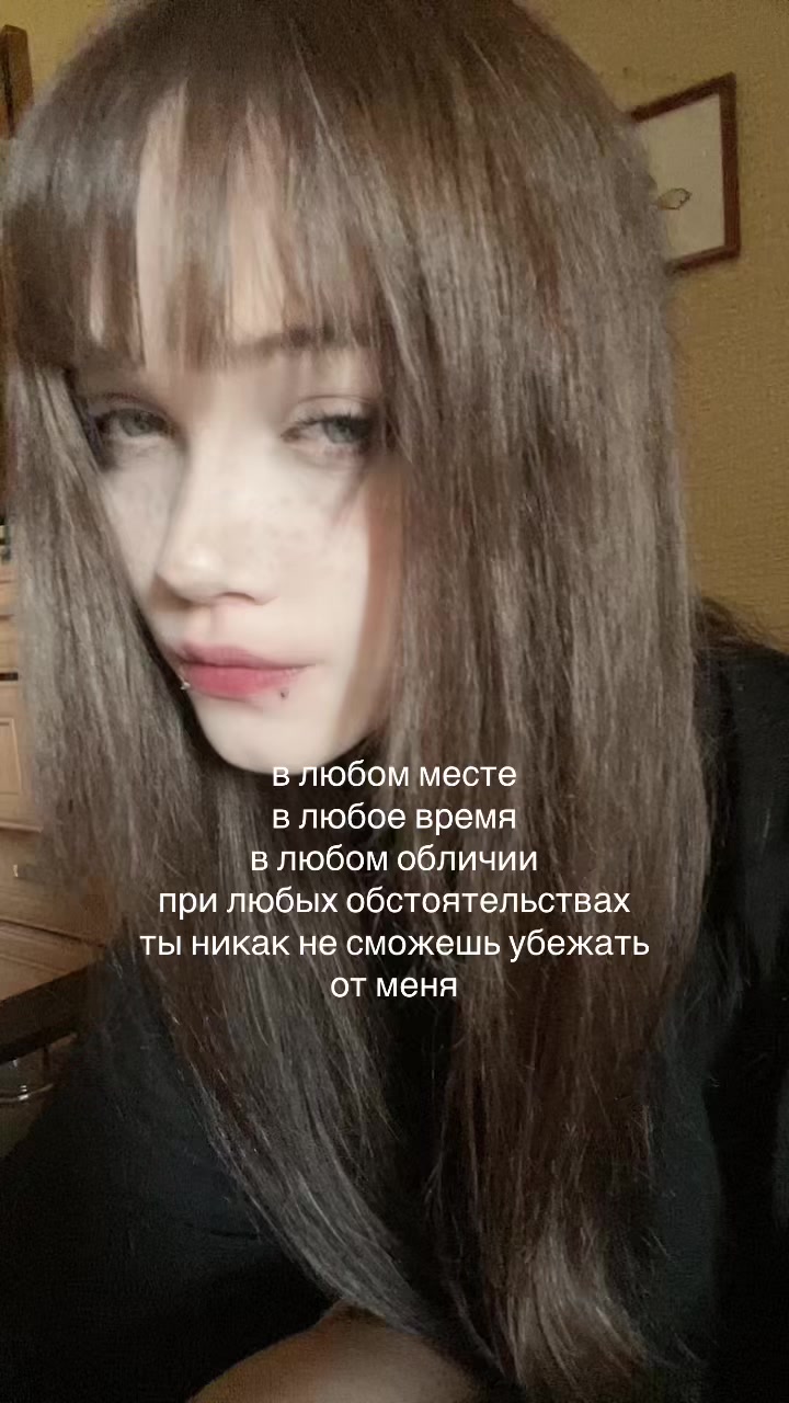 @лацертида
