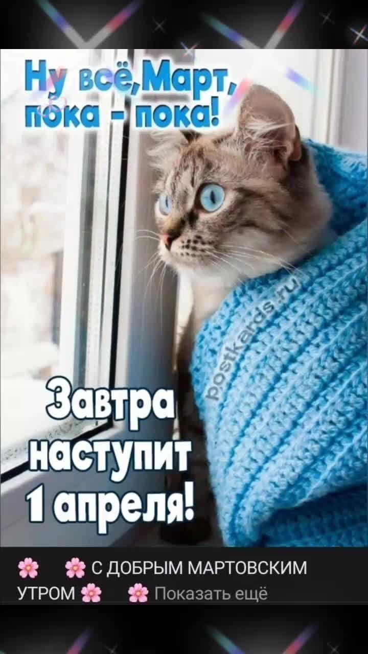 @Елена
