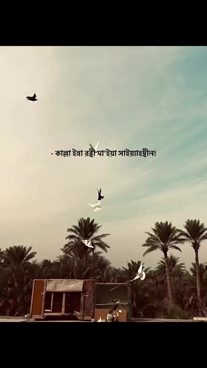 @𐙚_ᴡαғα_!i🤍🫧