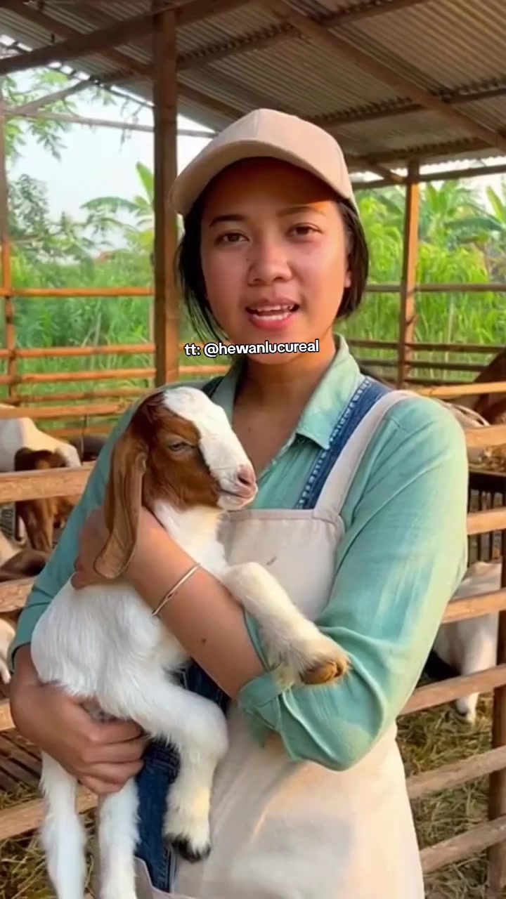 @Hewan Lucu🥰