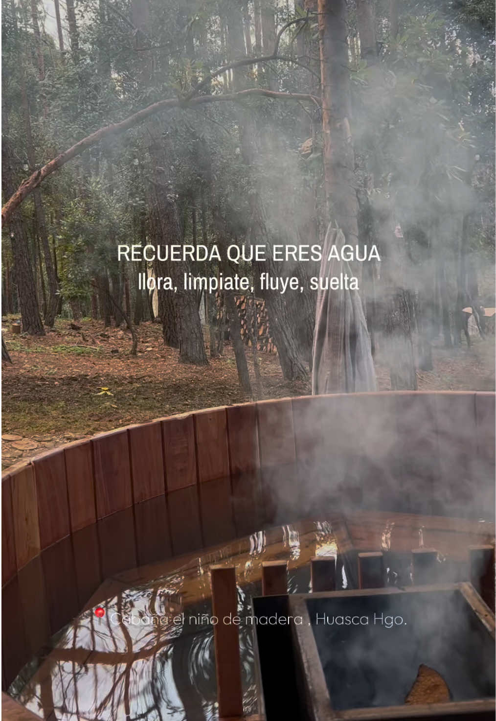 @Bosque Erase Una Vez