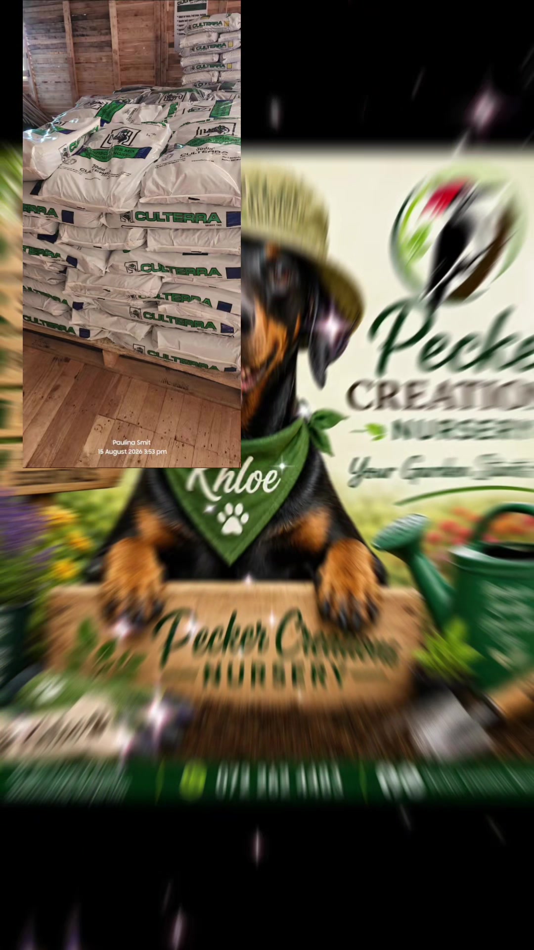 @Peckercreations