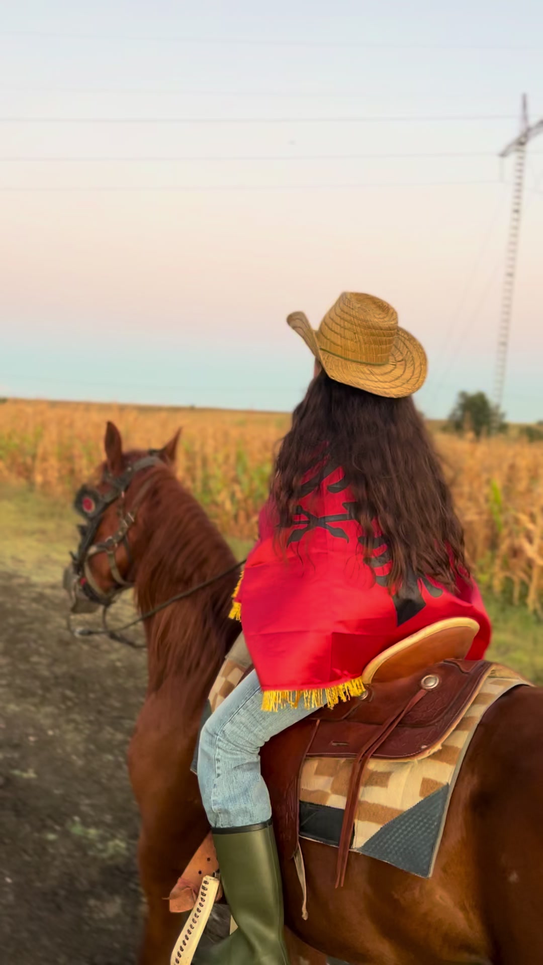 @BERTI RANCH 🐎