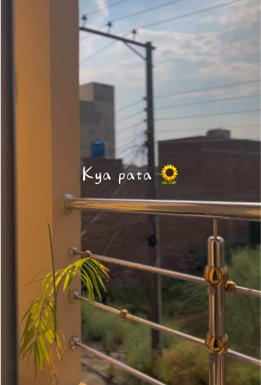 @👑𝑴𝒂𝑯𝒂𝒂👑