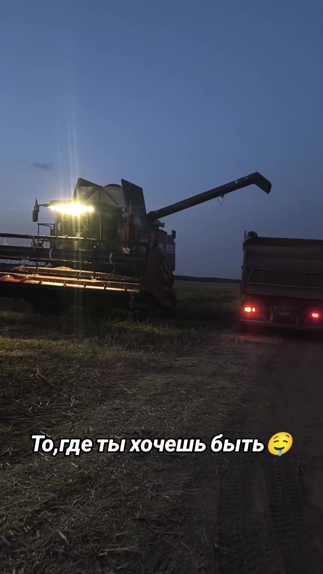 @🚜ⲇяⲇьⲕᥲ ᥲⲏⲧ𐔖ⲏ🚜