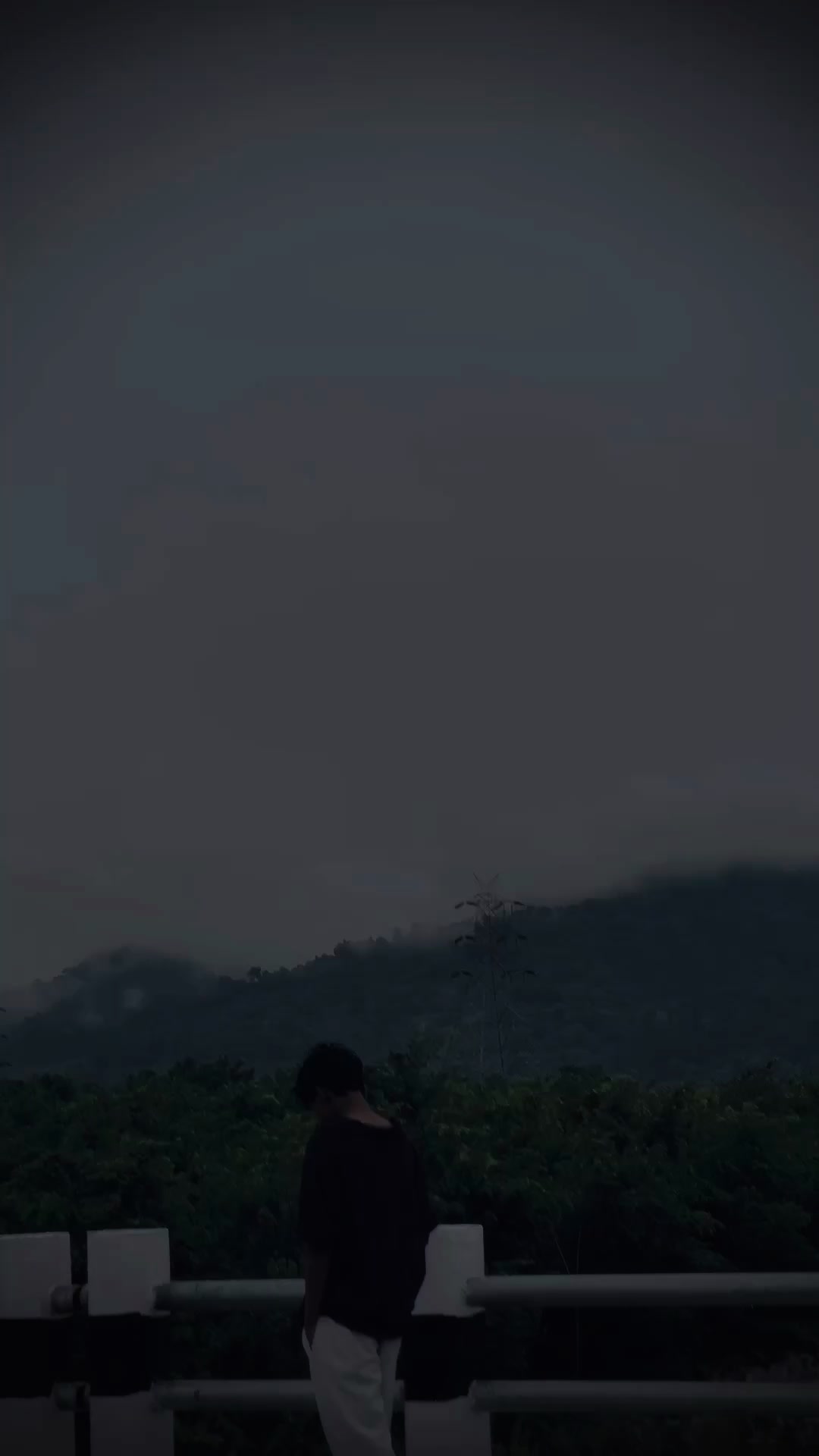@🍃