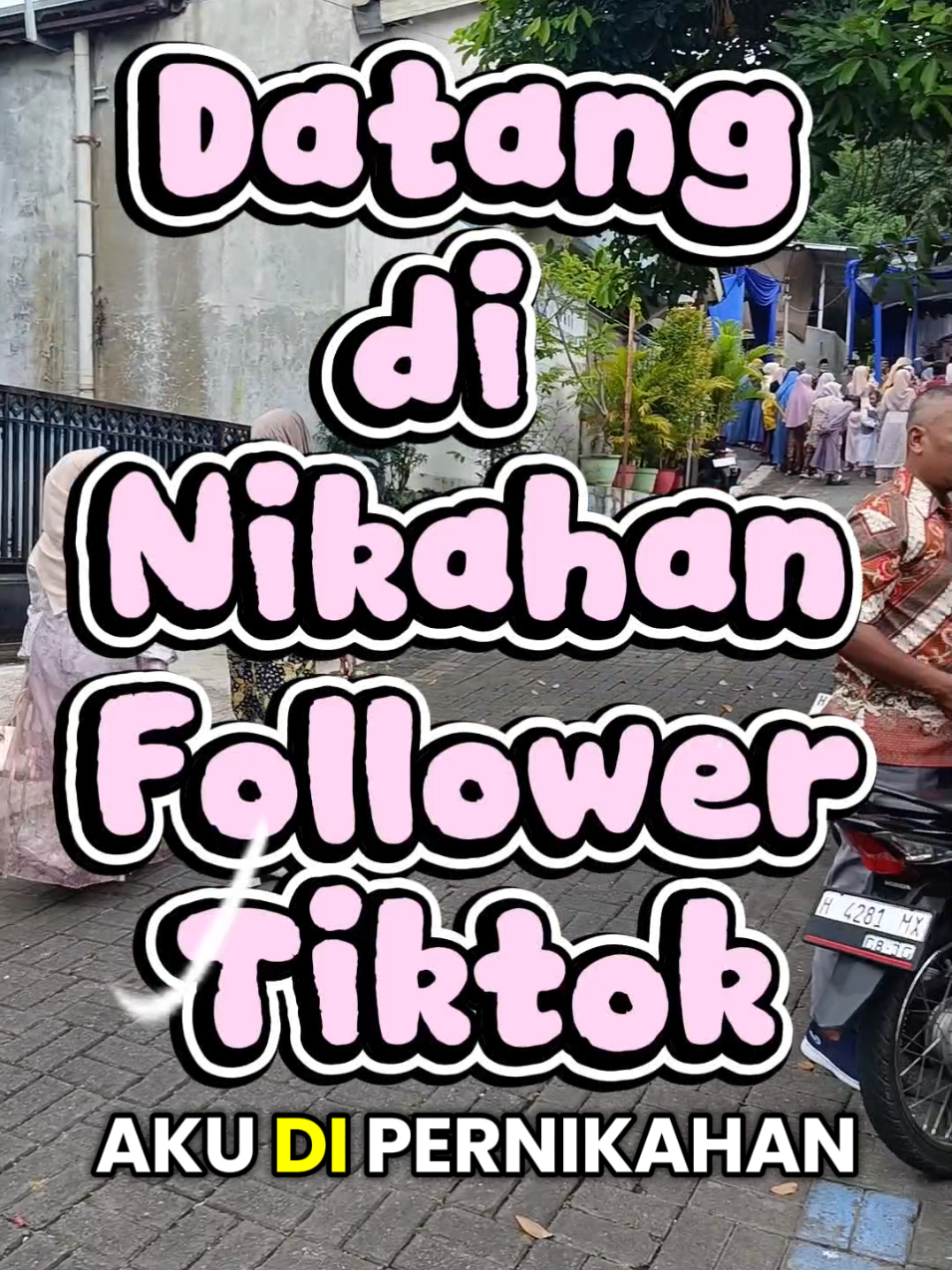 @Eliya Didik