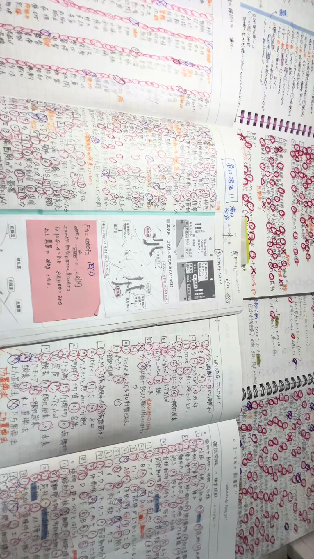 @華