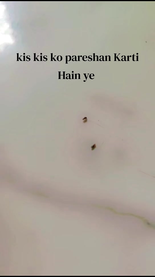 @💥مسٹر کباڑ یہ💥