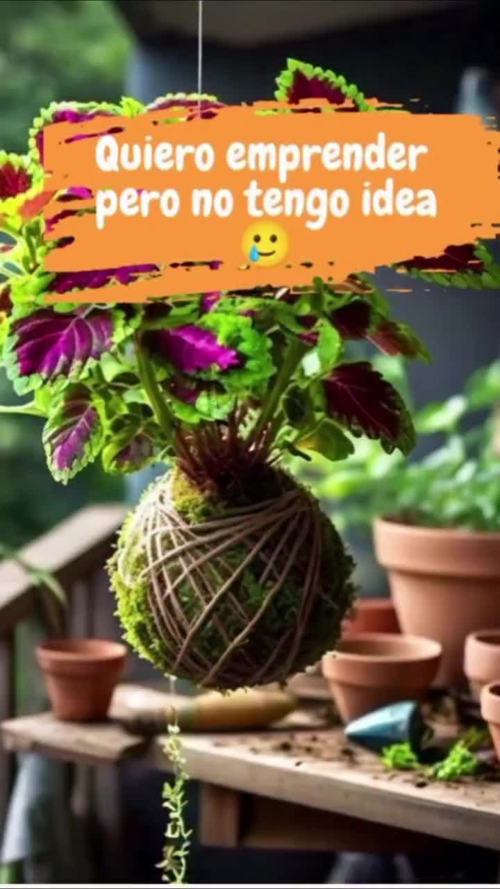 @user20505406424