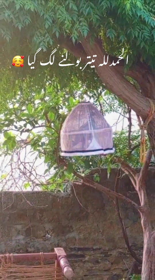 @اسامہ خان