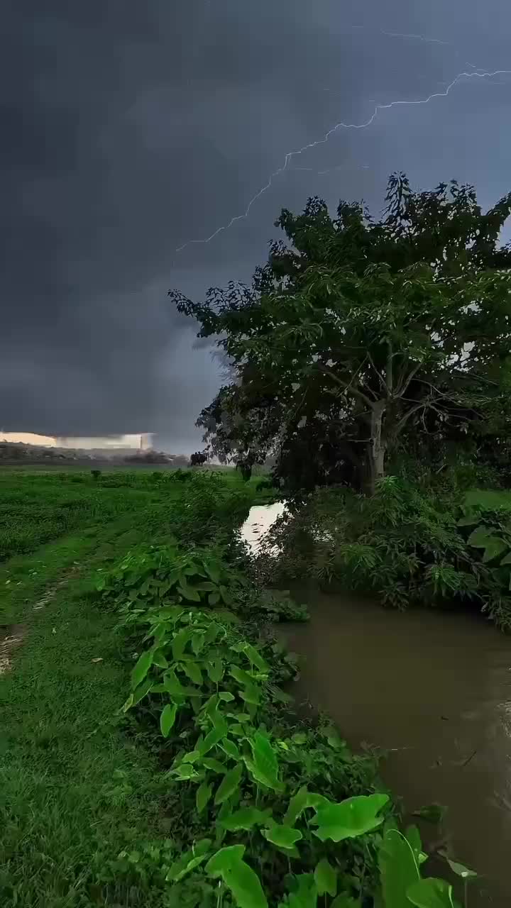 @Imran Khan 804
