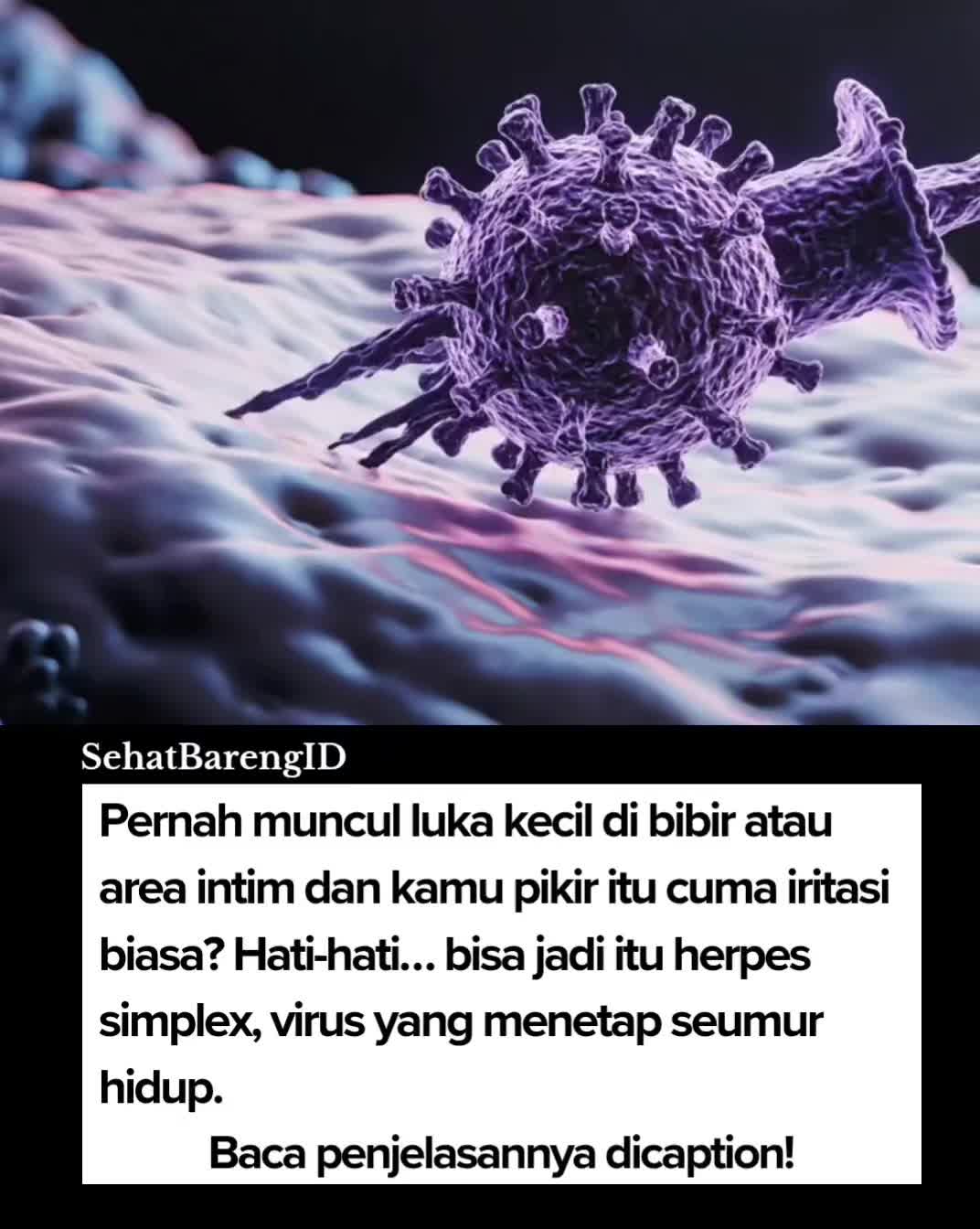 @SehatBarengID