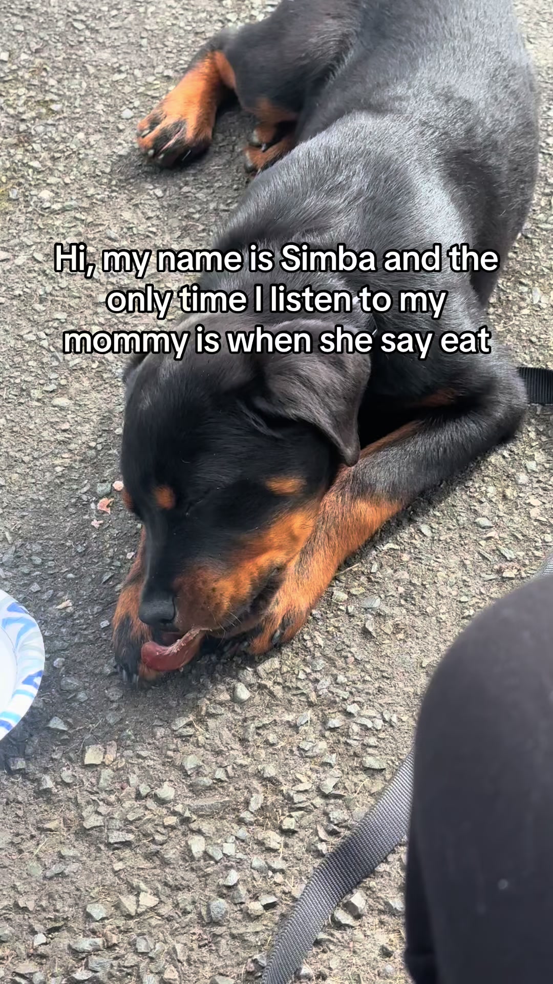 @nytiaamor