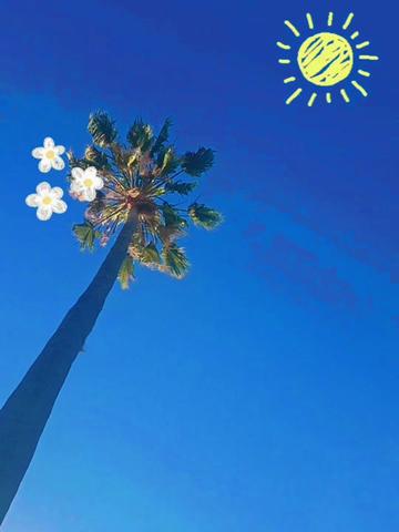 @Yósselin 🌞 🌅