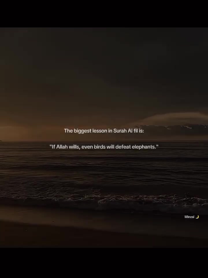 @𝙈𝙞𝙣𝙯𝙖𝙞 🌙