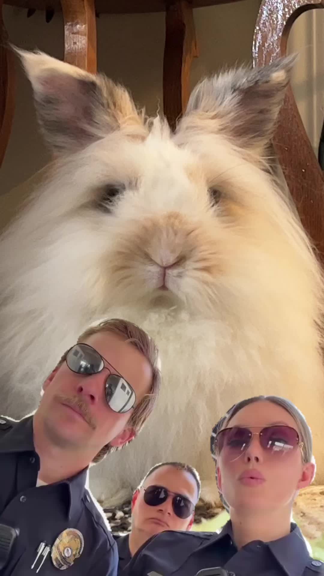 @bigdogdad17