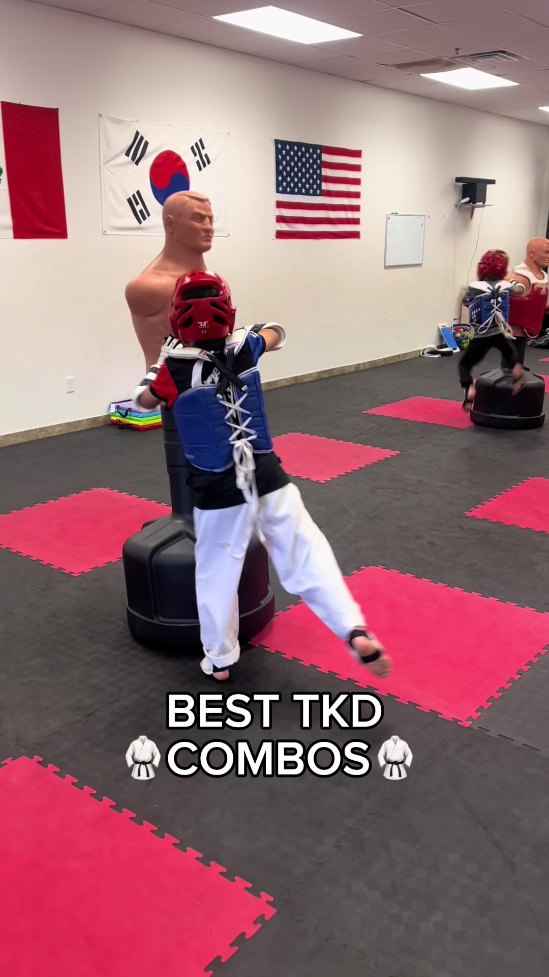 @lobos.taekwondo