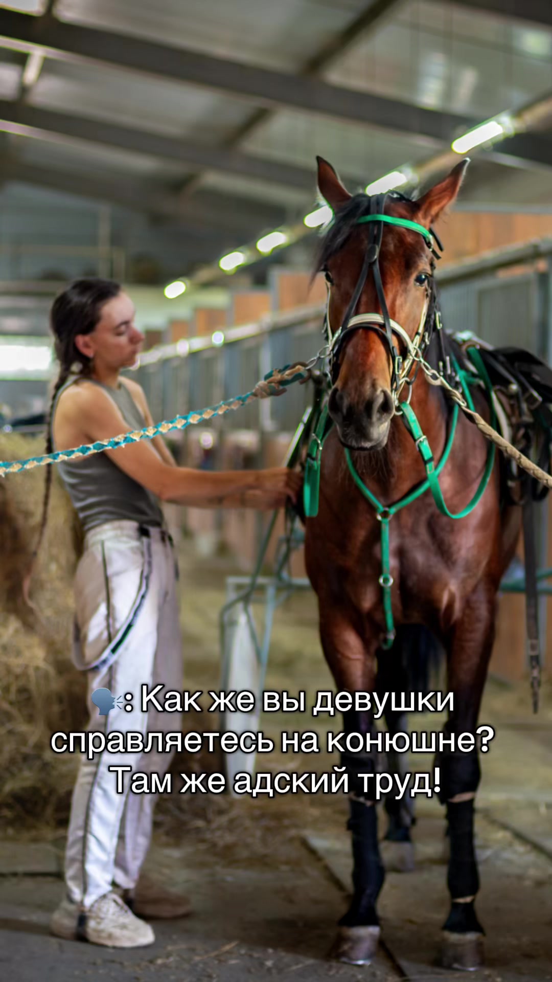 @ТГК: Sonya and the Trotters🐴