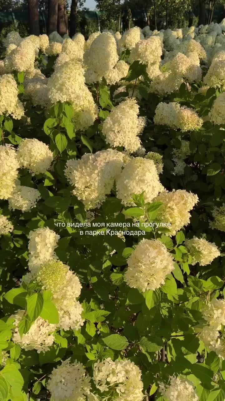 @Первый Южный