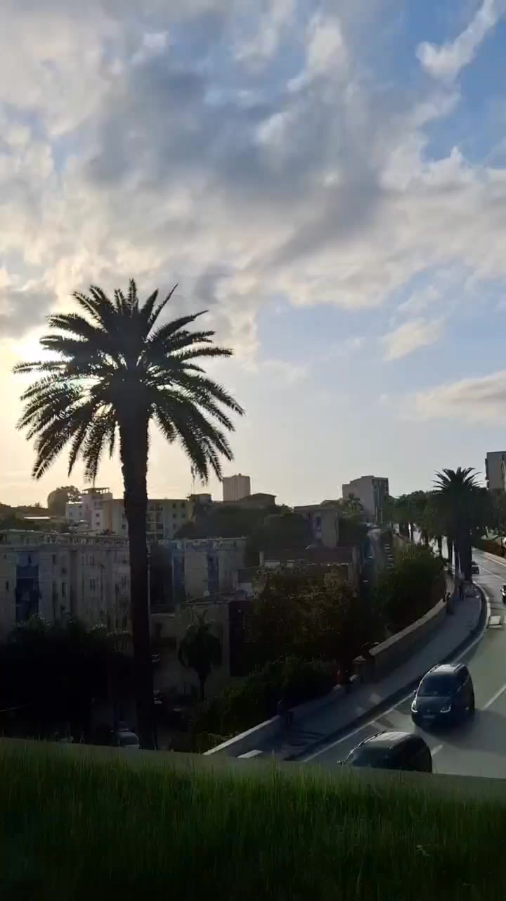 @🌸🦋Bnt_Tlemcen🦋🌸