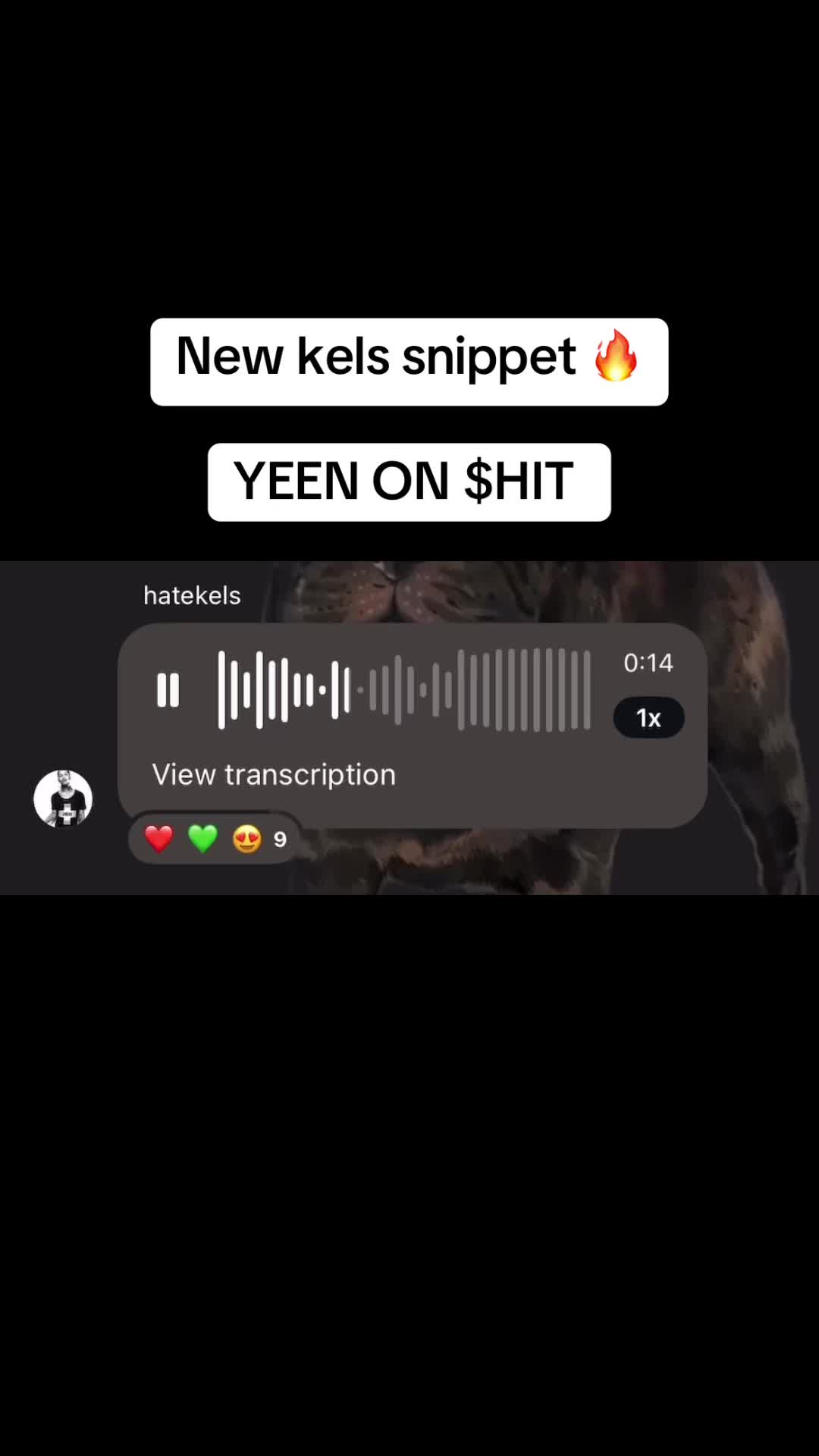 @Kels Vault