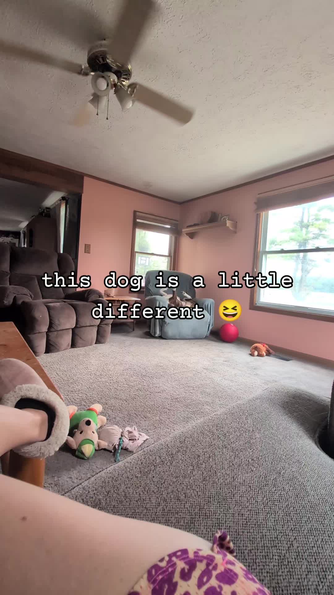 @Kevlynn DeVuyst