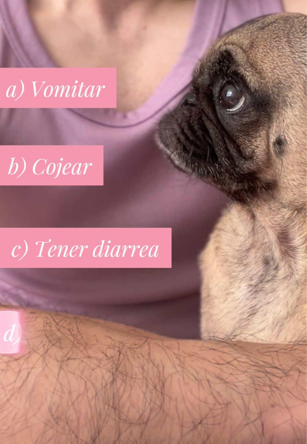 @Emma la Pug