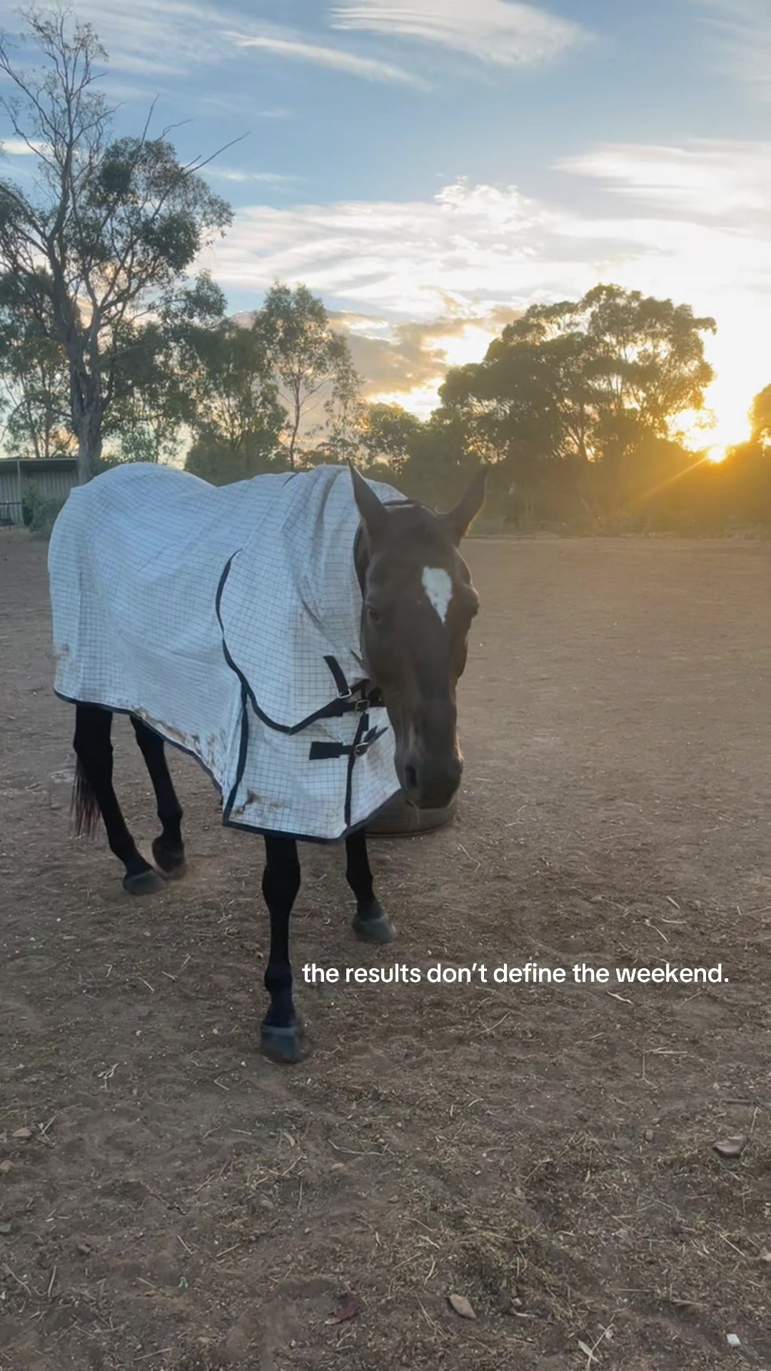 @t.equestrianxx