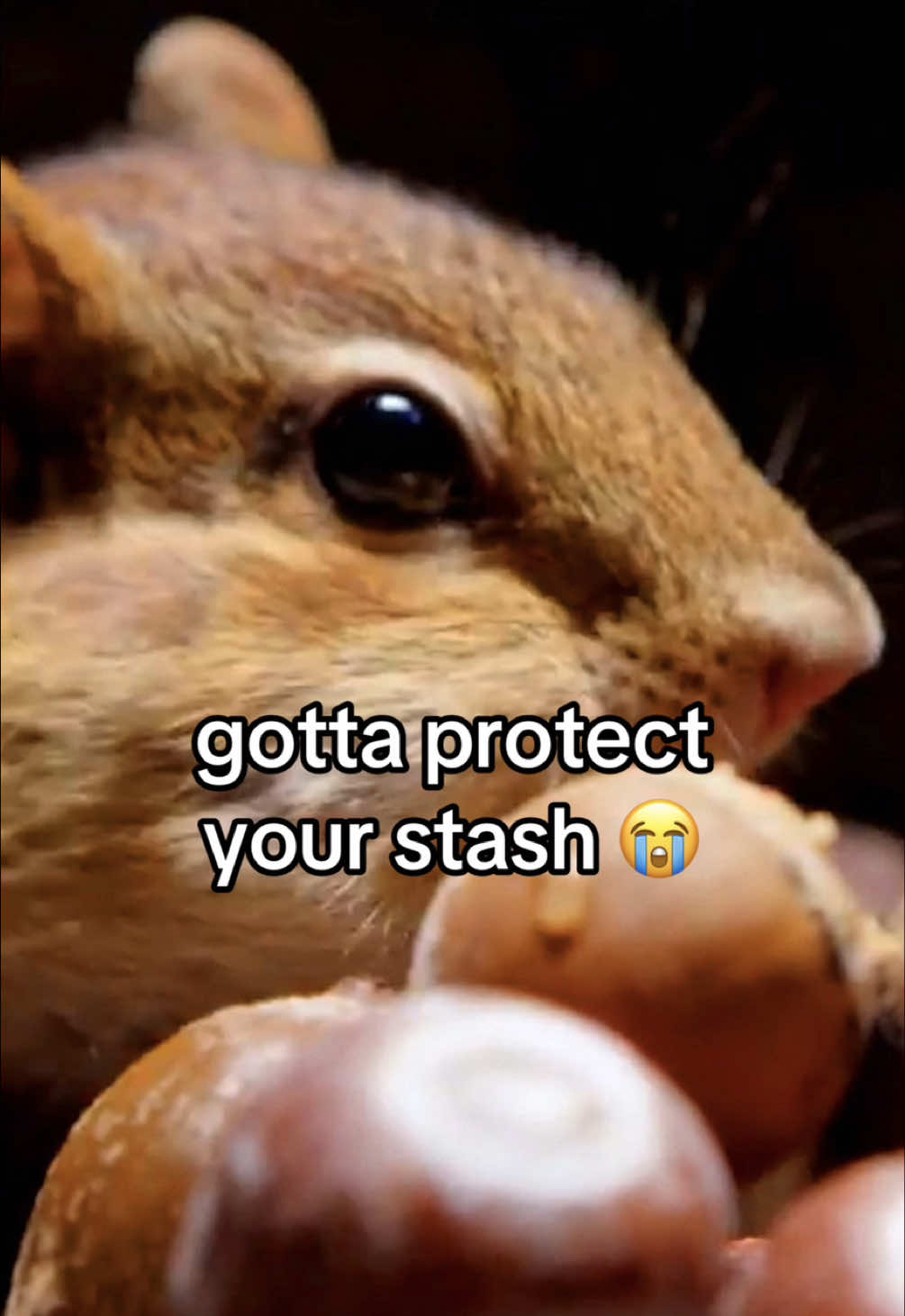 @CBC