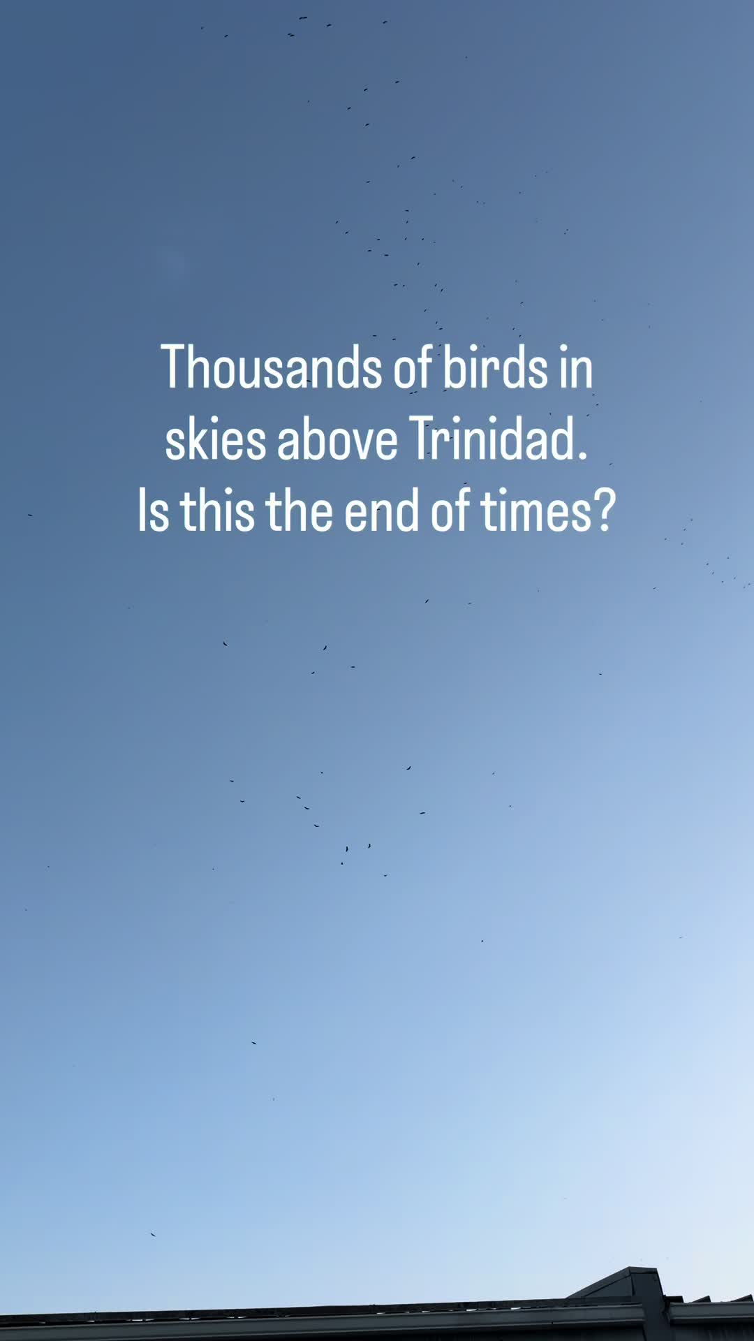 @Trini Surfer™️🇹🇹