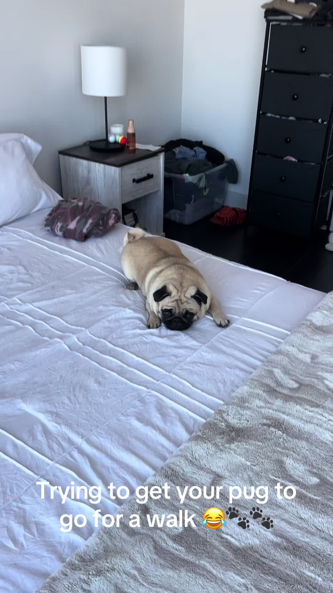 @PUGNAROUND