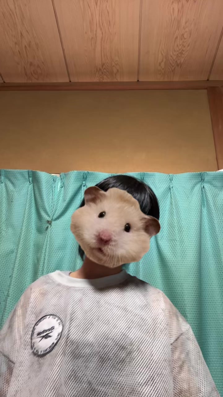 @こっちゃん🐣