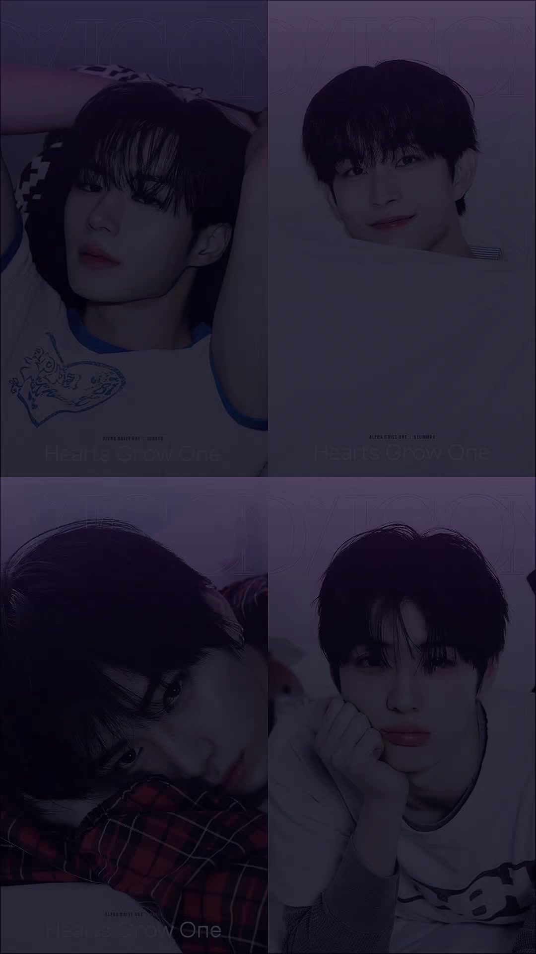 @ciishinjae