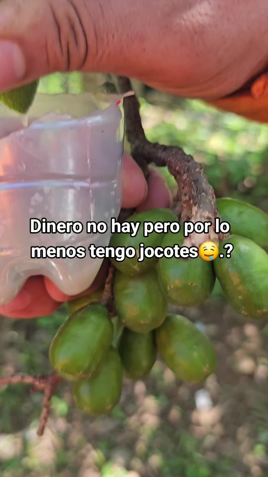 @josevi93
