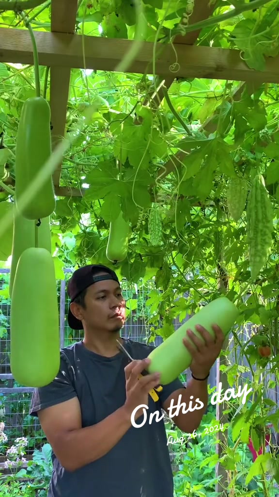 @Planted in the Garden