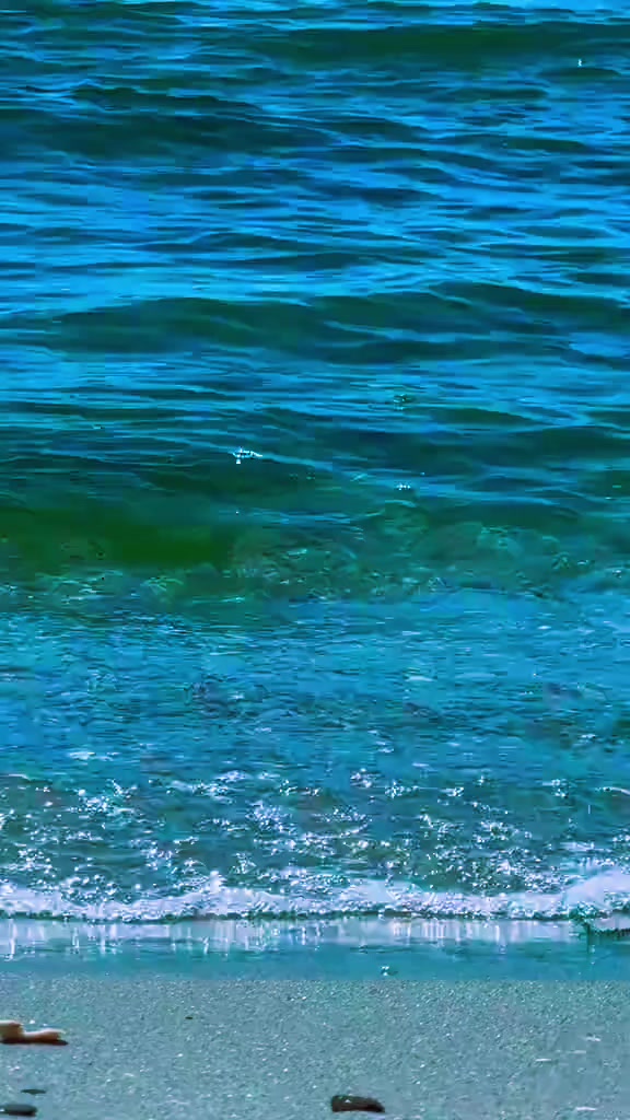 @derya 67