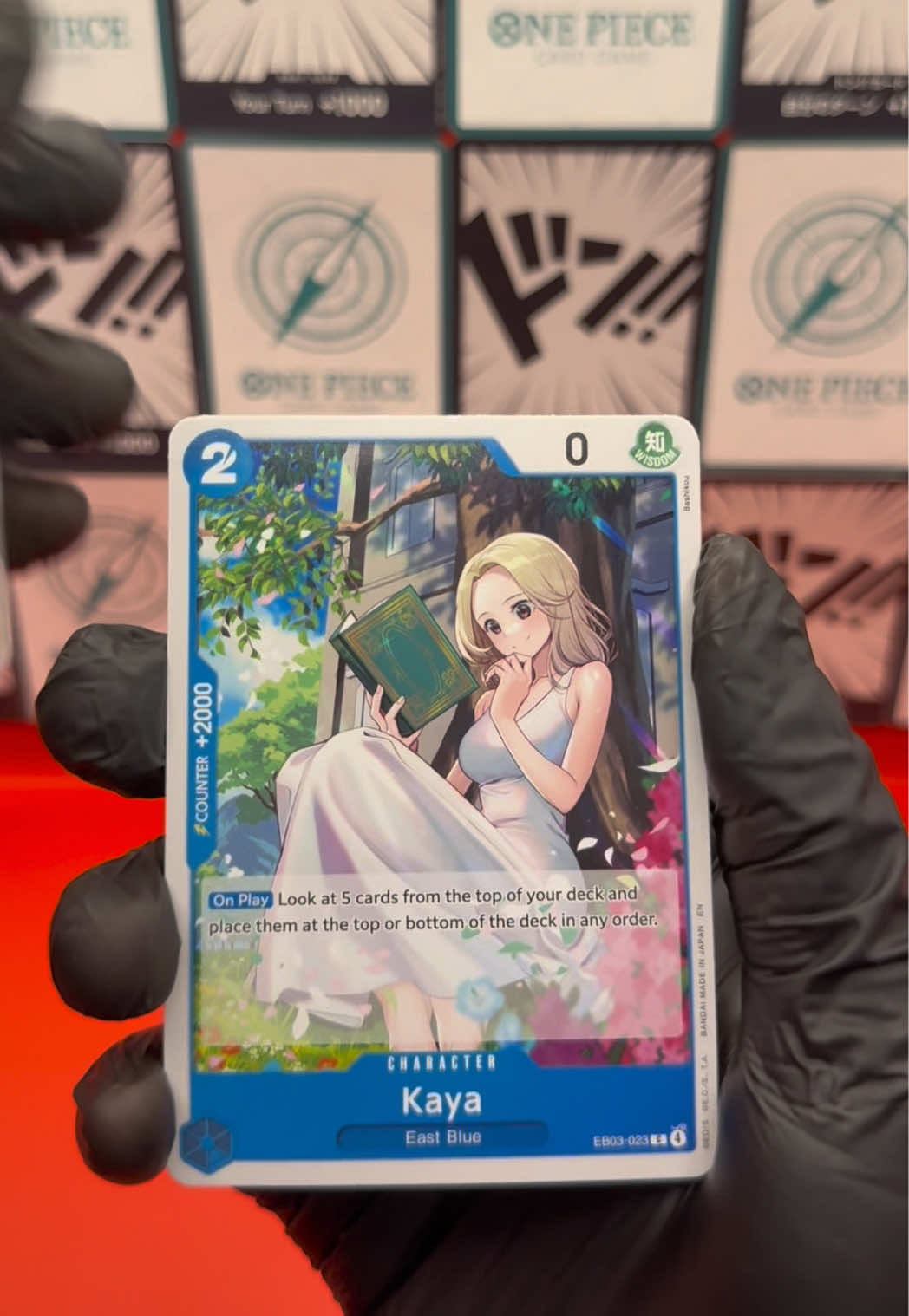 @HIT CHASE - TCG
