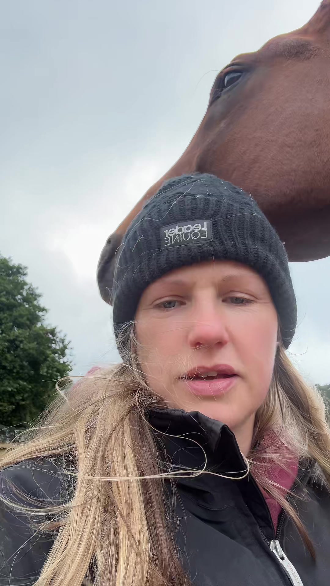 @Leader Equine