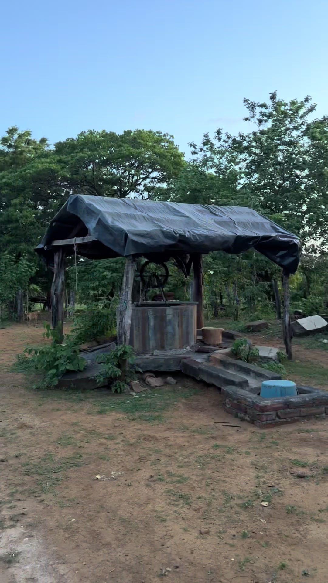 @Sulmita Do&ntilde;a