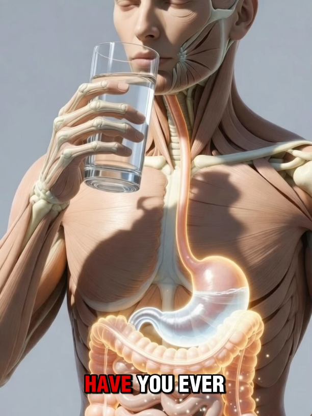 @VitalHealthInsights